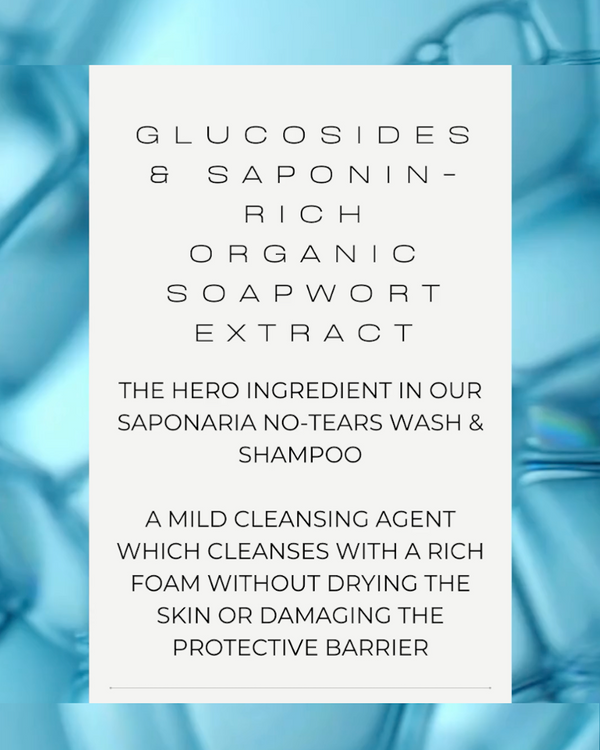 Fragrance Free Saponaria No-Tears Wash & Shampoo