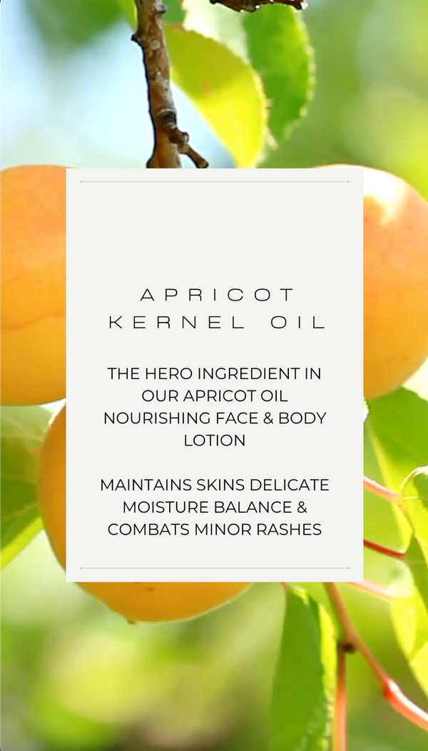 Fragrance Free Apricot Oil Nourishing Face & Body Lotion